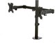 StarTech ARMDUAL2 Διπλή Βάση Στήριξης Οθόνης Γραφείου για 2 Οθόνες έως 32"