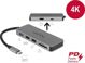 Stacja/replikator Delock Mobile USB-C (87743)