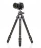 Τρίποδο Benro Benro τρίποδο Tortoise 34C+GX35 (TTOR34CGX35) - TTOR34CGX35