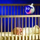 Sweet dreamers SWEET DREAMERS ewan sheep with sound sensor Deluxe Purple