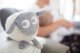 Sweet dreamers SWEET DREAMERS ewan sheep with sound sensor Deluxe Purple