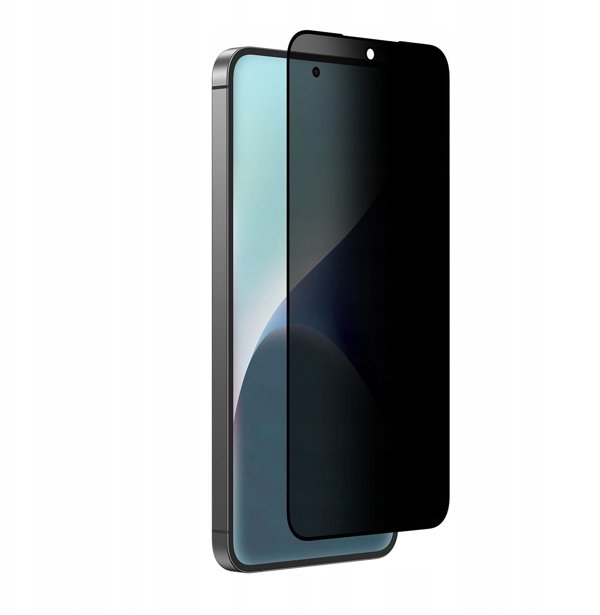 Γυαλί ασφαλείας AMAZINGTHING Radix Privacy Glass για το Samsung Galaxy S25+