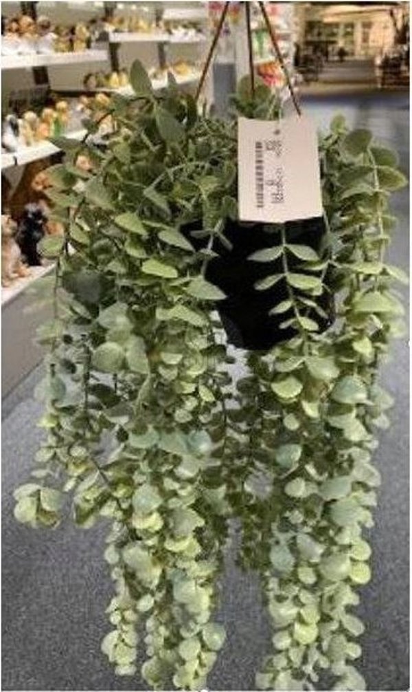 Τεχνητό κρεμαστό φυτό SENECIO, 60 εκ.