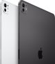 Tablet Apple iPad Pro 13" 7 gen. 2048 GB 5G Srebrny (MVY03NF/A)
