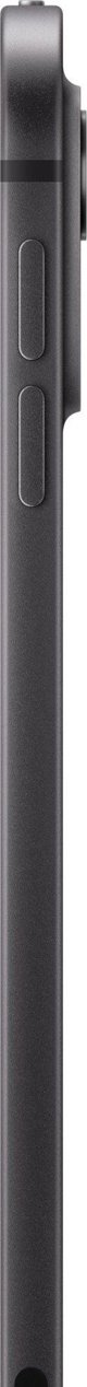 Apple iPad Pro 11" M4 1 TB WiFi + 5G 2024, μαύρο αστέρι (MVW53)