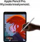 Apple iPad Pro 11" M4 1 TB WiFi + 5G 2024, μαύρο αστέρι (MVW53)