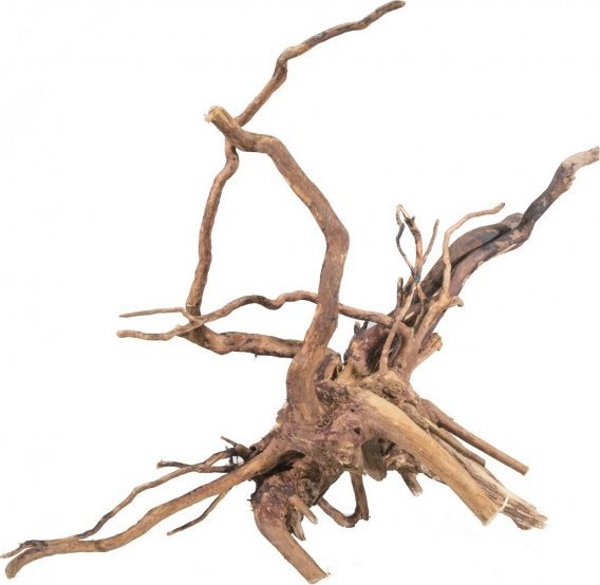 Terra Natura Swamp Root RED MOOR MIX 14075248 5904479420558