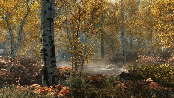The Elder Scrolls V: Skyrim Switch