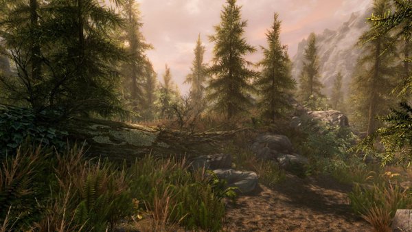 The Elder Scrolls V: Skyrim Switch