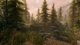The Elder Scrolls V: Skyrim Switch