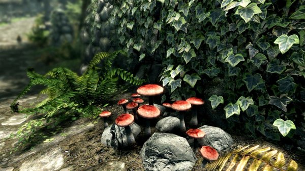 The Elder Scrolls V: Skyrim Switch