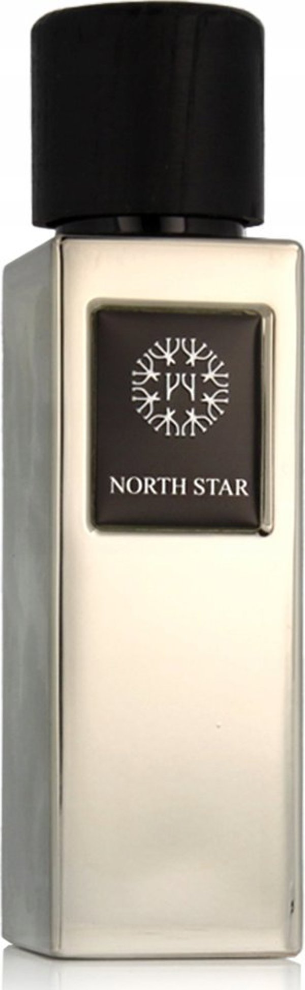 The Woods Collection Ανδρικό Άρωμα EDP The Woods Collection 100 ml Natural North Star