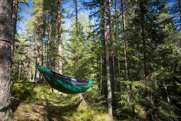 Ticket To The Moon Tickettothemoon Ticket To The Moon Lightest Pro Hammock, Forest Žalias 13935034 727670929386