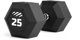 Tiguar Εξάγωνος Αλτήρας HEX 25 kg