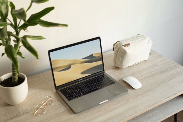 Τσάντα Peak Design Εισαγωγή Travel Line Peak Design Tech Pouch Bone v2 - Ελεφαντόδοντο