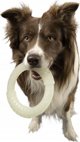 Triton Kiwi Walker Let's Play Glow Ring Mini