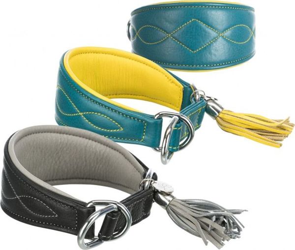 Γιακά Trixie Active Comfort, για λαγωνικά, βενζίνη, XS–S: 24–31 cm/50 mm 8038247 4011905189666