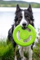 Triton Kiwi Walker Let's Play Frisbee Mini μπλε