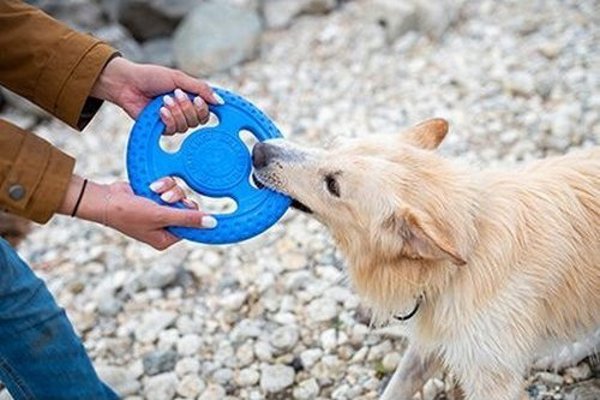 Triton Kiwi Walker Let's Play Frisbee Mini μπλε