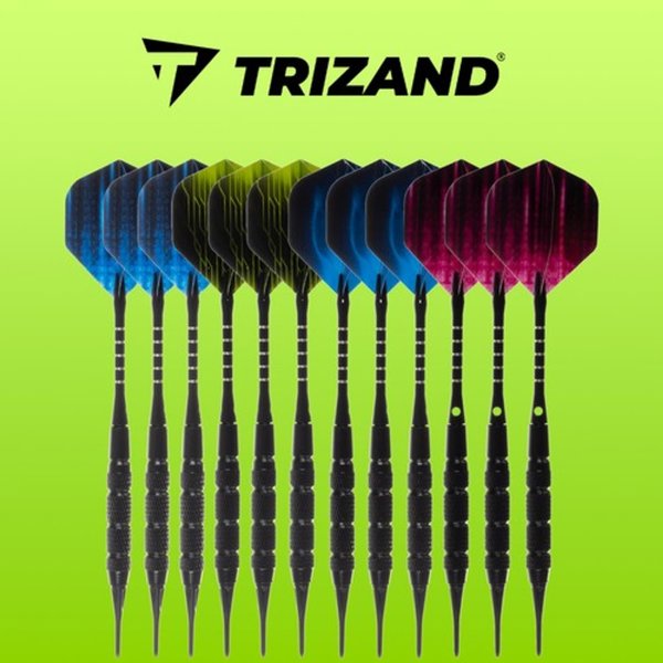 Trizand Darts σετ 12 τεμαχίων + Trizand 21658 tips