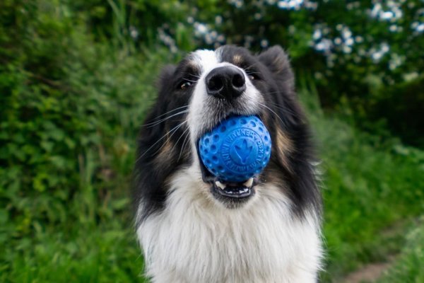 TRITON Kiwi Walker Let's Play Ball Maxi μπάλα μπλε