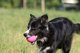 TRITON Kiwi Walker Let's Play Ball Maxi μπάλα μπλε