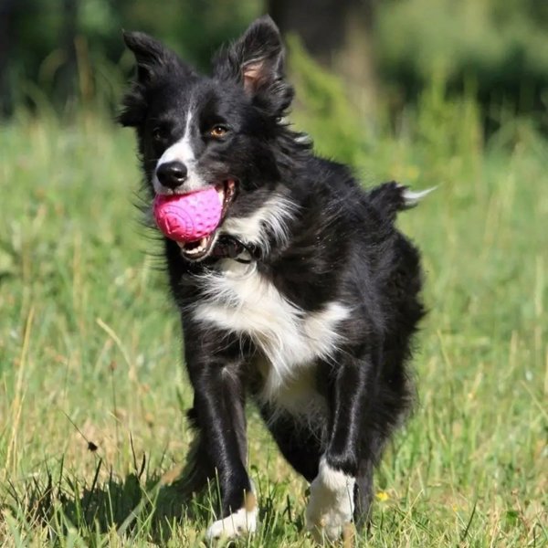 TRITON Kiwi Walker Let's Play Ball Maxi μπάλα μπλε