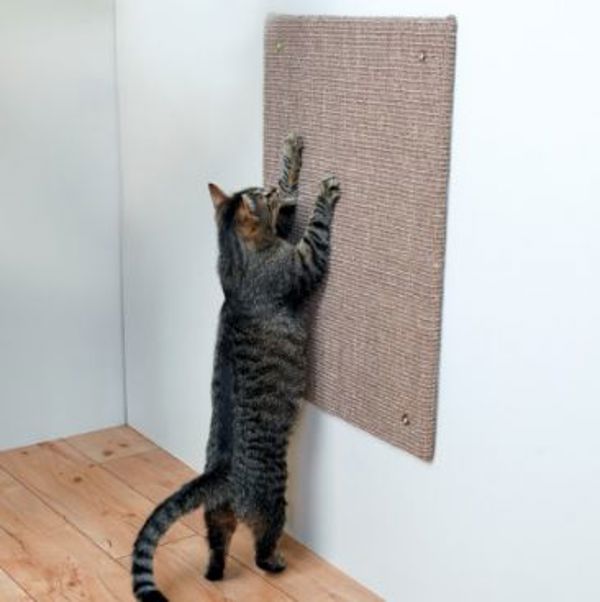 Trixie Scratching post, 50 × 70 cm, καφέ 1144339 4011905431666