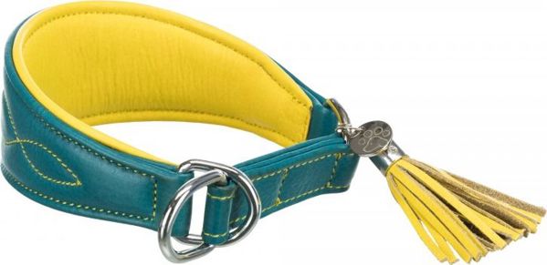 Γιακά Trixie Active Comfort, για λαγωνικά, βενζίνη, S: 27–35 cm/55 mm 8038244 4011905189673