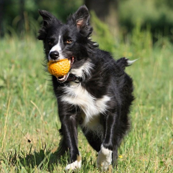 TRITON Kiwi Walker Let's Play Ball Mini μπάλα πορτοκαλί