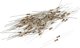 Tru Components TRU COMPONENTS TC-CFR0W4J0390KIT203 Αντίσταση με επικάλυψη άνθρακα 39 Ohm με αξονικό σύρμα 0207 0.25 W 5 % 100 τεμ