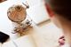 UGEARS UGEARS 3D Puzzle Globe Ξύλινο Μηχανικό μοντέλο για συναρμολόγηση 8255437 4820184121096