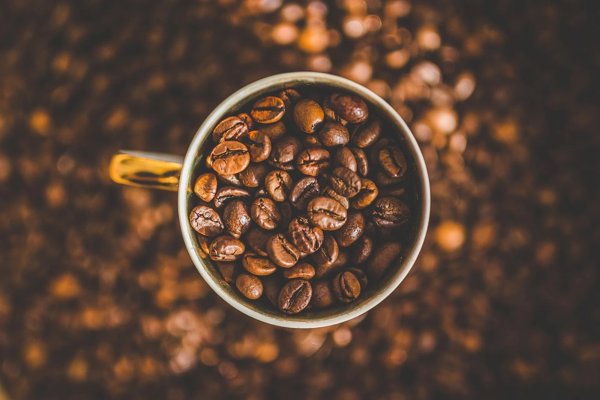Urnex Urnex Supergrindz μύλος καθαρισμός ταμπλέτες καθαρισμός ταμπλέτες 330 γρ. 13317922 754631713708