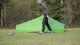 Vaude Lizard Seamless 2-3 σκηνή πεζοπορίας, πράσινο κρέσ