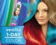 Venita 1-Day χρωματικό σπρέι 3 Ανοιξιάτικο Πράσινο