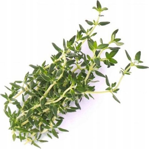 Veritable Βιολογικό Lingot Θυμάρι