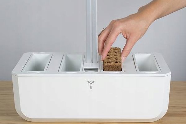 Veritable Βιολογικό Lingot Θυμάρι