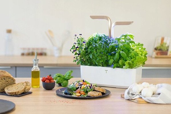 Αυθεντική Connect Infinity Gray Flowerpot
