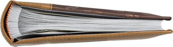 Άλμπουμ Victoria Collection B 10x15/100M Λουλούδι, μπρονζέ