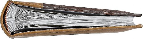 Άλμπουμ Victoria Collection B 10x15/100M Λουλούδι, μπρονζέ 2 τεμ