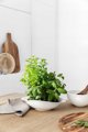 Σετ μπολ Villeroy & Boch Vapiano trio, 6 τεμάχια, λευκό