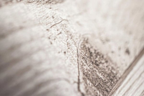 ΤΑΠΕΤΣΑΡΙΑ 101693 FRESCO WOOD PLANK NEUTR