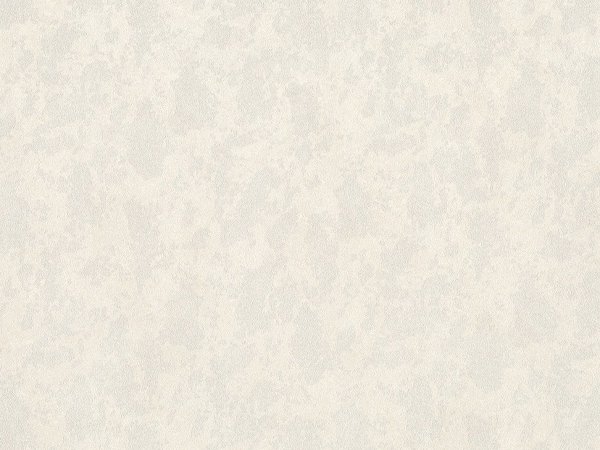 ΤΑΠΕΤΣΑΡΙΑ ΤΟΙΧΟΥ B118 8691-05 I 01 2025