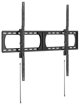 Wall Mount Slim XL up to VESA