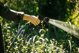 Λάστιχο ποτίσματος FISKARS X-series, 1/2", 13 mm, 50 m