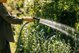 Λάστιχο ποτίσματος FISKARS X-series, 1/2", 13 mm, 25 m
