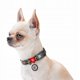 Περιλαίμιο WAU DOG Nylon με Ετικέτα Διεύθυνσης QR XL 25mm/37-58cm Λάμπαρτ
