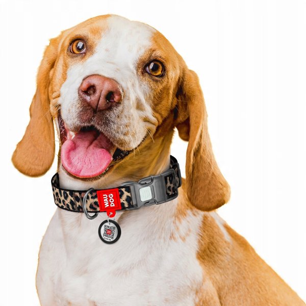Περιλαίμιο WAU DOG Nylon με Ετικέτα Διεύθυνσης QR XL 25mm/37-58cm Λάμπαρτ