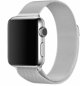 Λουράκι Wave από πλεγμένο ατσάλι, Apple Watch 38 / 40 / 41 / 42 mm, ασημί