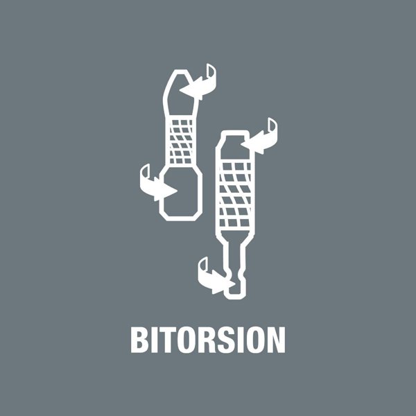 Wera Wera Bit-Check 10 BiTorsion 1